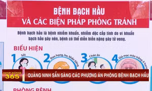 Quảng Ninh sẵn sàng các phương án phòng bệnh bạch hầu