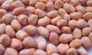 Những bài thuốc chữa bệnh từ hạt lạc