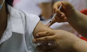Bộ Y tế cấp mới, gia hạn giấy đăng ký lưu hành gần 500 thuốc, vaccine, nguyên liệu 