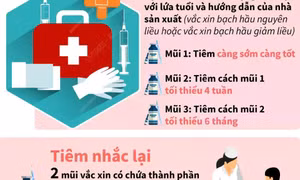 Những điều cần biết về bệnh bạch hầu và cách phòng tránh
