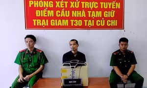 Nghịch tử sát hại mẹ ruột bị tuyên án tử hình