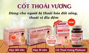 Cốt Thoái Vương - giải pháp cho người đau lưng do thoát vị đĩa đệm