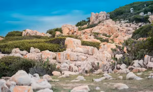 Một ngày dạo chơi với đá ở Ninh Thuận