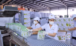 Nước khoáng Quang Hanh: Chuyện xưa, chuyện nay