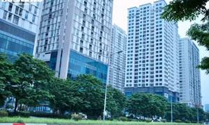 Vì sao giá nhà không thể hạ?