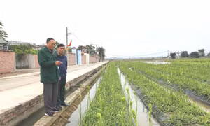 Sáng mãi phẩm chất Bộ đội Cụ Hồ