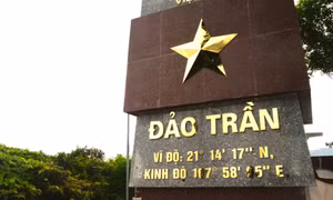 Sức sống đảo Thanh niên