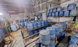Khởi tố vụ án sử dụng chất cấm sản xuất giá đỗ tại Hưng Yên