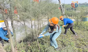 Xanh hóa môi trường mỏ