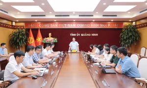 Phường Mông Dương cần tạo chuyển biến rõ nét trong công tác xây dựng Đảng, xây dựng đô thị công nghiệp xanh 