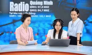 Trái ngọt từ sự dấn thân