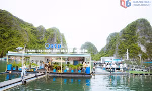 Du lịch chữa lành: Xu hướng phát triển bền vững