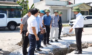 Giám sát việc triển khai các dự án nâng cao chất lượng đô thị tại phường Cao Xanh