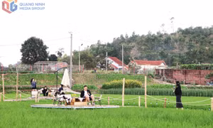 Khám phá những điểm du lịch xanh ở Hoành Bồ