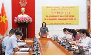 Ban Kinh tế - Ngân sách HĐND tỉnh thẩm tra các dự thảo nghị quyết