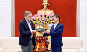 Chủ tịch UBND tỉnh tiếp xã giao Phó Chủ tịch Quốc hội Đức