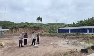 Xã Quảng Tân: Đảm bảo mặt bằng cho các dự án trọng điểm