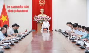 Xử lý 65 vụ vi phạm quyền sở hữu trí tuệ trong một tháng cao điểm