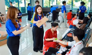  Trường Đại học Hạ Long: Điểm sáng trong phòng trào Hiến máu tình nguyện