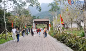 Thúc đẩy xúc tiến, quảng bá và phát triển thị trường du lịch
