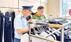 Hoàn thiện cơ chế thực thi quyền sở hữu trí tuệ