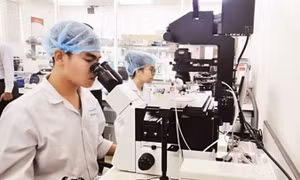 Chuẩn hóa dữ liệu khoa học, xóa thủ tục rườm rà cho giới nghiên cứu