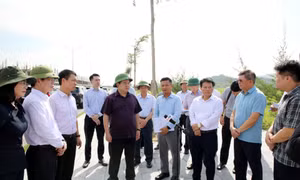 Bí thư Tỉnh ủy Quản Minh Cường: Kiên quyết xử lý đối với các dự án chậm tiến độ, vi phạm pháp luật
