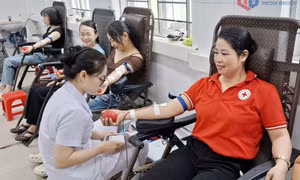 Xây dựng tổ chức Hội Chữ thập đỏ ngày càng vững mạnh