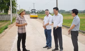 Giám sát việc triển khai các dự án nâng cao chất lượng đô thị tại phường Đông Triều và Hoàng Quế