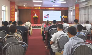 Bồi dưỡng kiến thức pháp luật cho doanh nghiệp nhỏ và vừa, hộ kinh doanh
