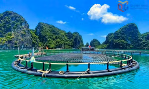 Hiện thực hóa khát vọng phát triển bằng đổi mới sáng tạo