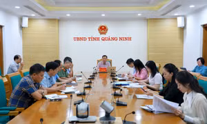 Triển khai các chính sách đồng bộ, hiệu quả để xây dựng nền giáo dục công bằng, nhân văn, bền vững