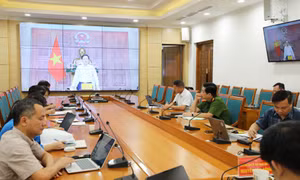 Phát hiện, xử lý hàng nghìn vụ vi phạm về sở hữu trí tuệ sau gần 1 tháng triển khai Công điện 38/CĐ-TTg