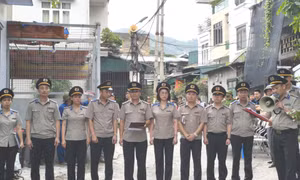 Tổ chức cưỡng chế giao tài sản thi hành án dân sự