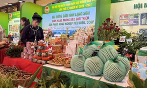 Nông sản Việt minh bạch nguồn gốc bước ra thị trường quốc tế