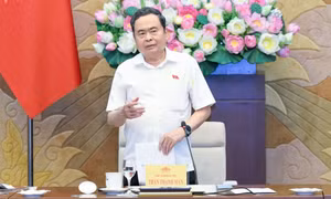 Vì lợi ích quốc gia, dân tộc, phục vụ tốt nhất các mục tiêu phát triển đất nước