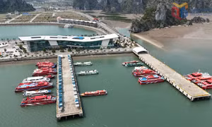 Chuyển động ở đặc khu thế hệ mới
