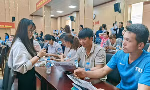 Gần 300 lao động trên địa bàn xã Ba Chẽ được tư vấn, giới thiệu việc làm