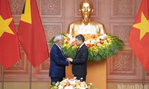 Thủ tướng Chính phủ Lê Minh Hưng hội đàm với Thủ tướng Timor-Leste