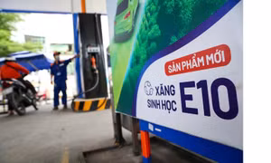 Từ ngày 1/6-15/6: Cả nước tiêu thụ khoảng 520 triệu lít xăng sinh học