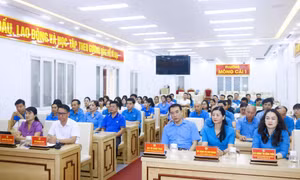 Quảng Ninh hưởng ứng phong trào thi đua “Lao động giỏi, năng suất cao, thu nhập tốt”