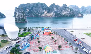 Hơn 3.000 người tham gia Ngày Quốc tế Yoga 2026 tại Quảng Ninh