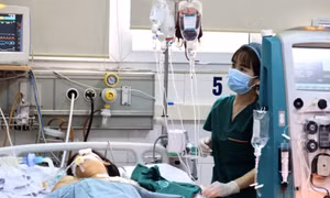 Ca mắc sốt xuất huyết, tay chân miệng gia tăng, COVID-19 giảm