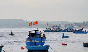 Quyết liệt chống khai thác IUU