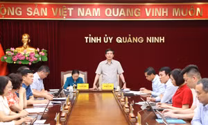 Ngành Tổ chức xây dựng Đảng hoàn thành tốt nhiệm vụ trọng tâm 6 tháng đầu năm