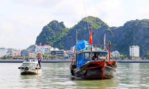 Hiệu quả kiểm tra, xử lý vi phạm trên Vịnh Hạ Long