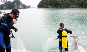 Bảo vệ môi trường, gìn giữ du lịch xanh cho di sản