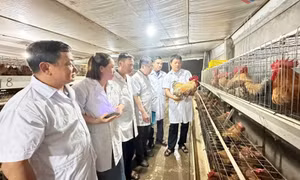 Đưa pháp luật sở hữu trí tuệ vào thực tiễn