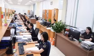 Bãi bỏ 10 thủ tục trong lĩnh vực hải quan, kinh doanh hàng miễn thuế