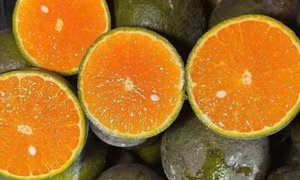 Hỗ trợ tổng hợp collagen từ hoa quả giàu vitamin C mà không ảnh hưởng dạ dày